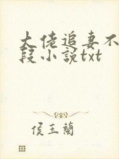大佬追妻不择手段小说txt