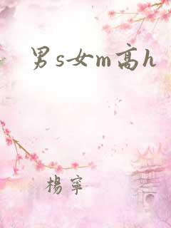 男s女m高h