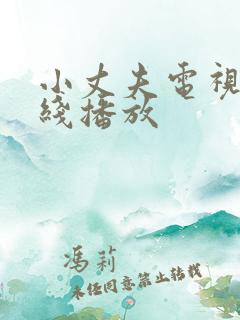 小丈夫电视剧在线播放