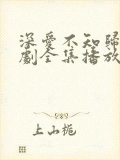 深爱不知归路短剧全集播放免费最新