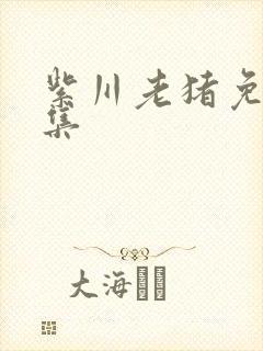 紫川老猪免费全集