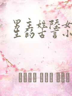 男主姓陆女主重生的古言小说