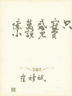 亿万盛宠只为你小说免费