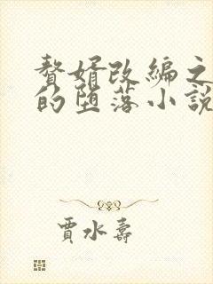 赘婿改编之众女的堕落小说结局