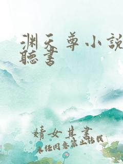 渊天尊小说免费听书