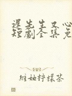 迟先生又心动了短剧全集免费播放剧