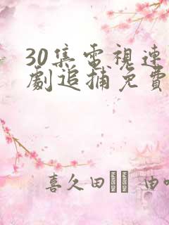 30集电视连续剧追捕免费观看