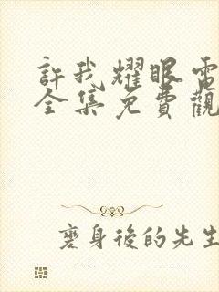 许我耀眼电视剧全集免费观看23集