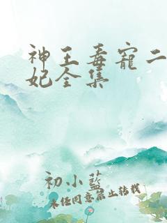 神王毒宠二嫁王妃全集