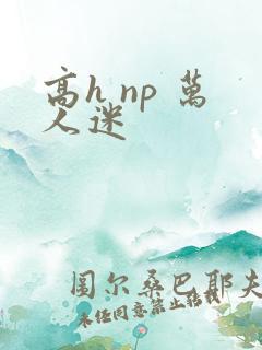 高h np 万人迷