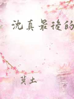 沈真最后的结局