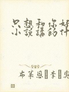 只想和你好好的小说讲的什么故事