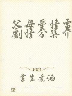 父母爱情电视剧剧情分集介绍全集