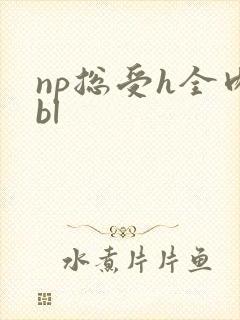 np总受h全肉bl