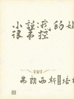 小说:我的姐姐很弟控