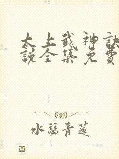 太上武神诀 小说全集免费阅读