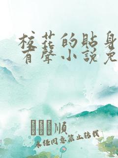 校花的贴身高手有声小说免费听丸子