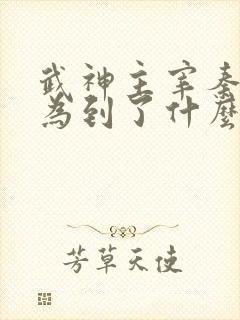 武神主宰秦尘修为到了什么境界