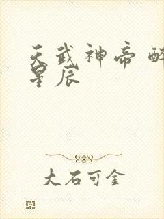 天武神帝 醉梦星辰