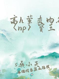 高h荤爽肉欲文〈np〉宝玉