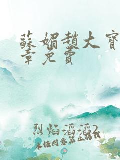 苏媚赵大宝第六章免费