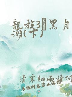 龙族3·黑月之潮(下)
