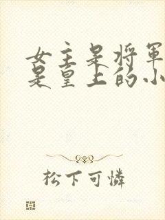 女主是将军男主是皇上的小说