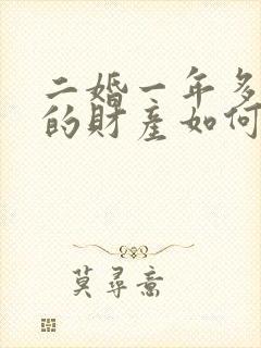 二婚一年多离婚的财产如何分配