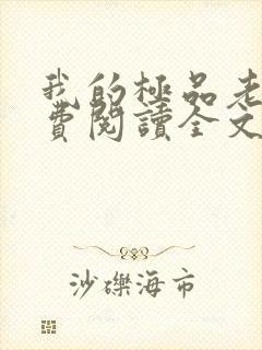 我的极品老婆免费阅读全文小说