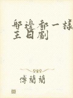 哪边都一样双男主日剧