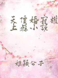 天价婚宠权少赖上瘾小说