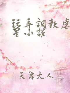 玩弄调教虐女明星小说