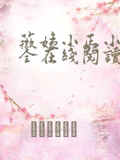 薇姨小正小说大全在线阅读