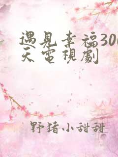 遇见幸福300天电视剧
