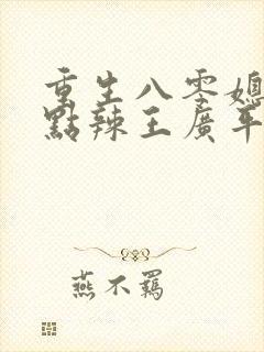 重生八零媳妇有点辣王广平结局