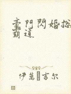 豪门闪婚总裁太霸道