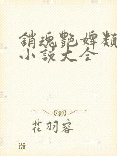 销魂艳婢类似的小说大全