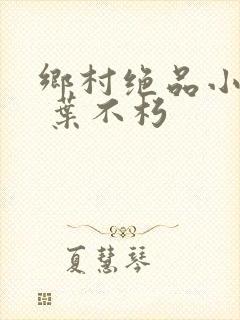 乡村绝品小神医 叶不朽