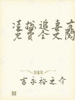 凌总追妻有点甜免费全文阅读