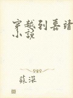 穿越到嘉靖朝的小说