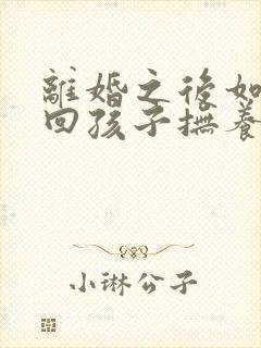 离婚之后如何要回孩子抚养权