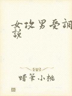 女攻男受调教小说