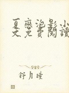 夏恋泡影小说全文免费阅读最新章节