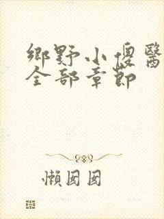 乡野小傻医小说全部章节