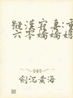 糙汉宠妻:重生六零娇娇媳全文免费阅读