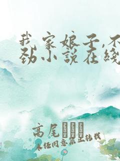 我家娘子,不对劲小说在线免费阅读