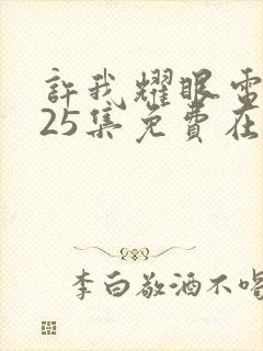 许我耀眼电视剧25集免费在线观看