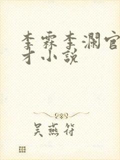 李霖李澜官场奇才小说