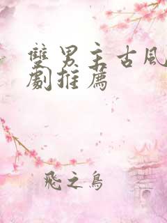 双男主古风电视剧推荐