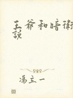 王爷和暗卫的小说